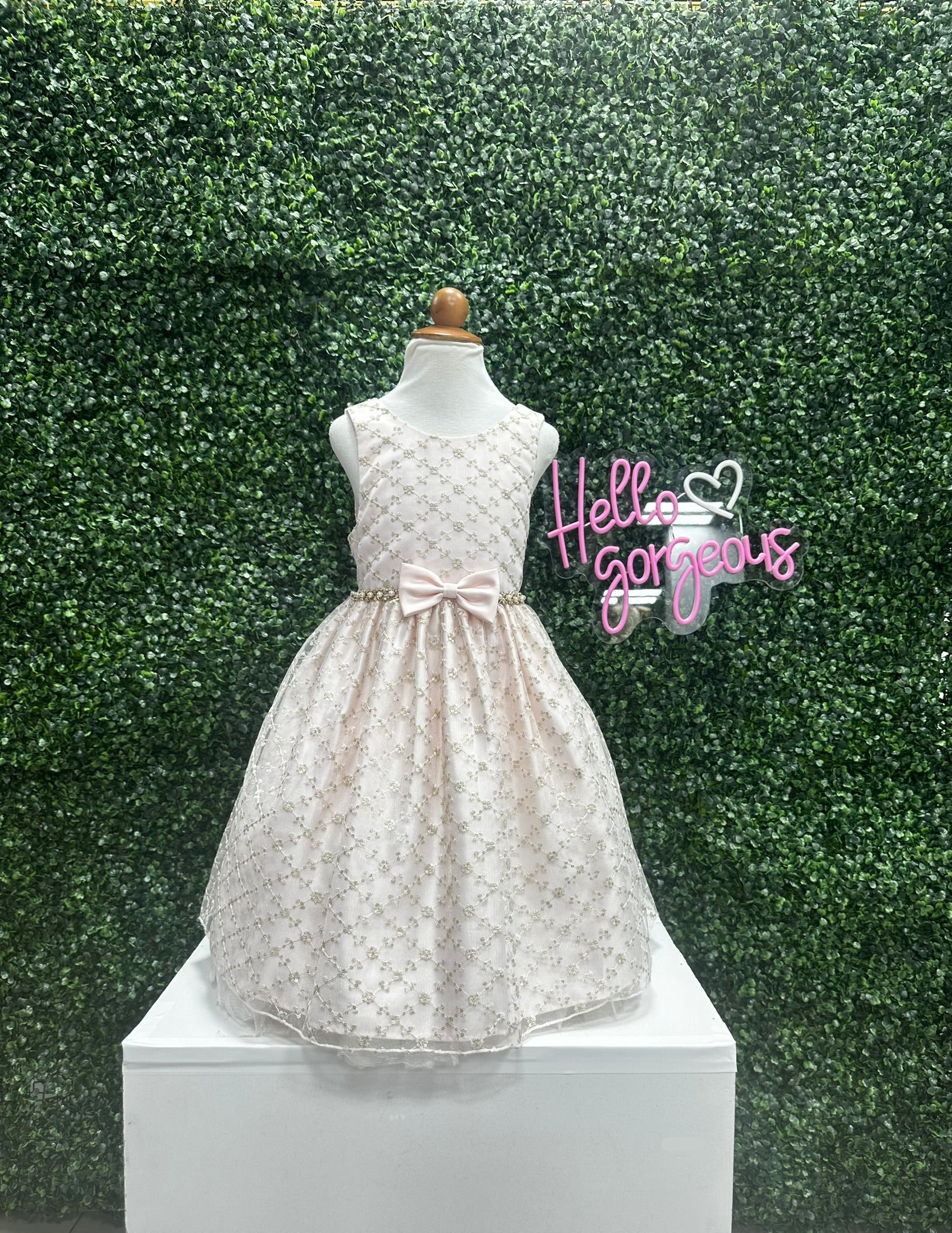 Blush IvoryGold Dress