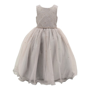 dress the part silver paparazzi POSTER GIRL