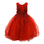 Paparazzi design dress in Red